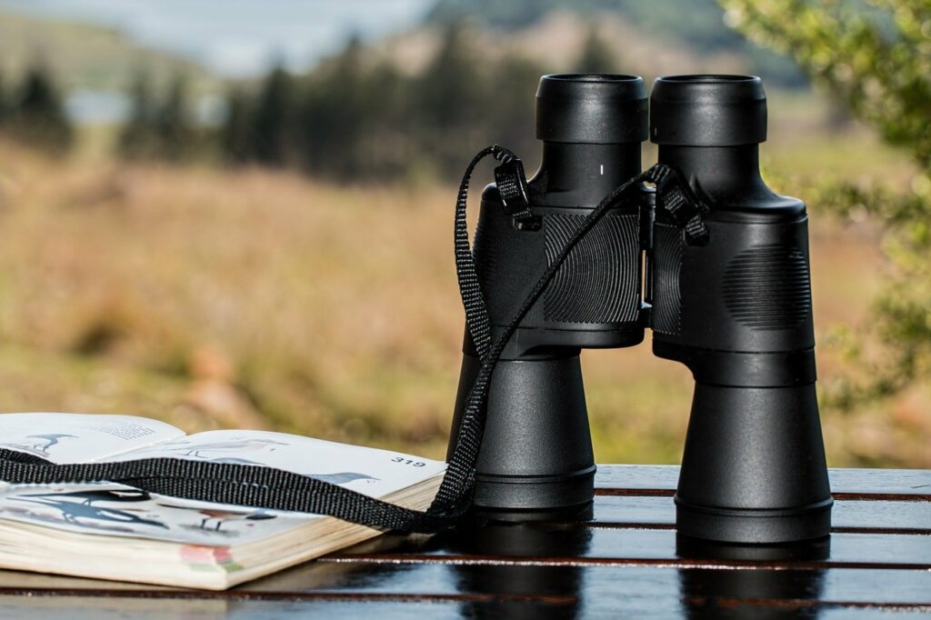 Buying guide- Binoculars