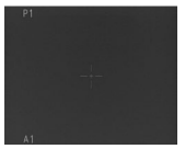 Fortuna General Thermal Imaging Instruction Manual