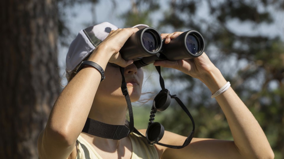 Binoculars, Source: B&H Explora