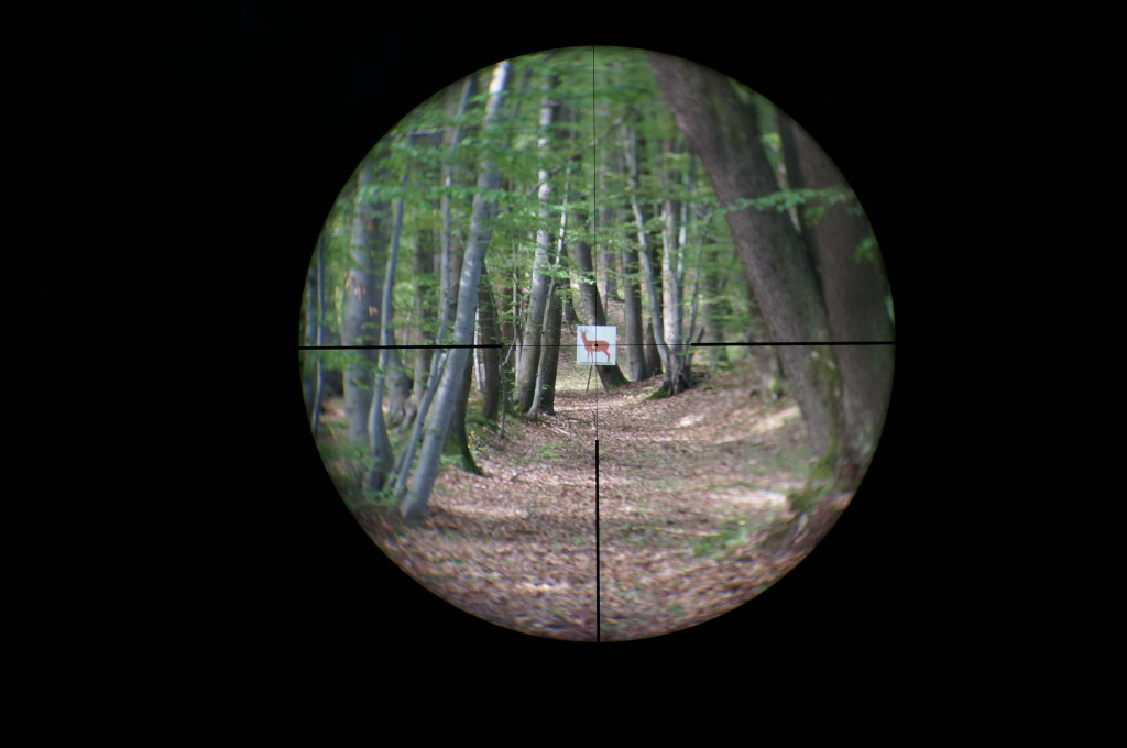 Leica Magnus 1.5-10x42 reticle 4a subtensions at 3x