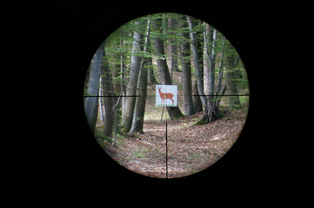 Leica Magnus 1.5-10x42 reticle 4a subtensions at 6x