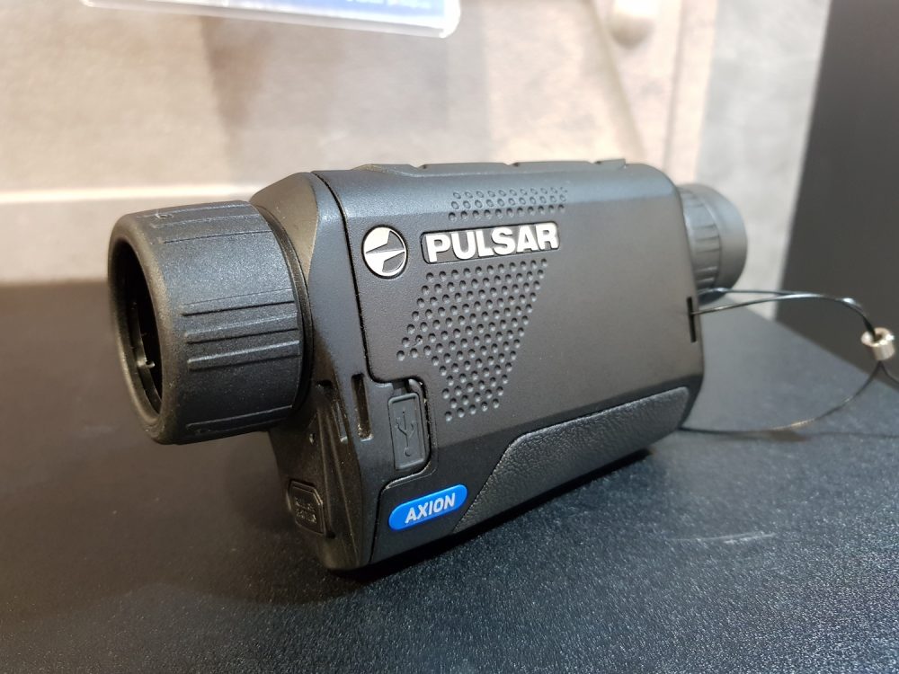 Pulsar Axion