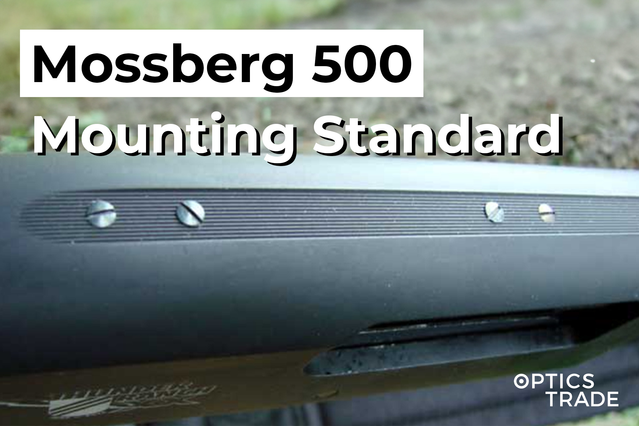 Rifles With Mossberg 500 Scope Mounting Surface