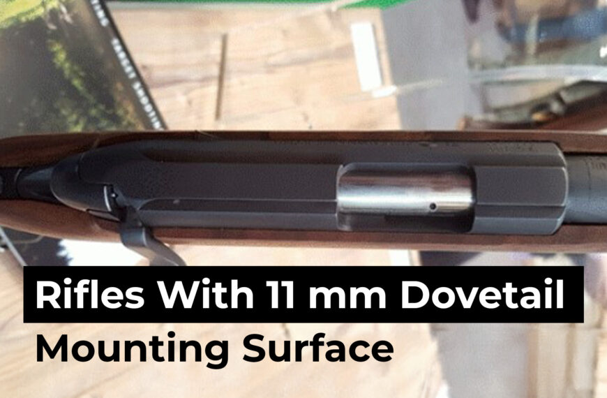 Rifles With 11 mm Dovetail Mounting Surface