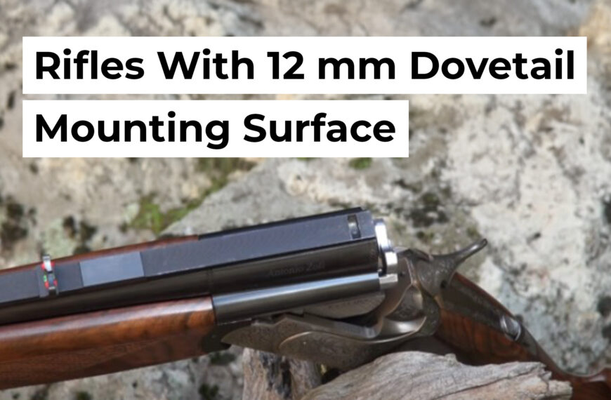 Rifles With 12 mm Dovetail Mounting Surface
