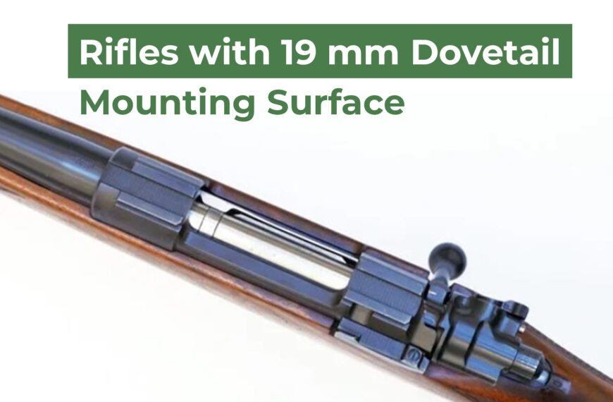 Rifles With 19 mm Dovetail Mounting Surface
