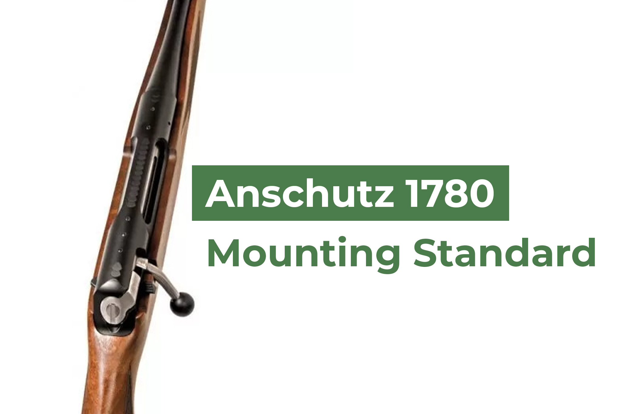 Rifles With Anschutz 1780 Scope Mounting Surface