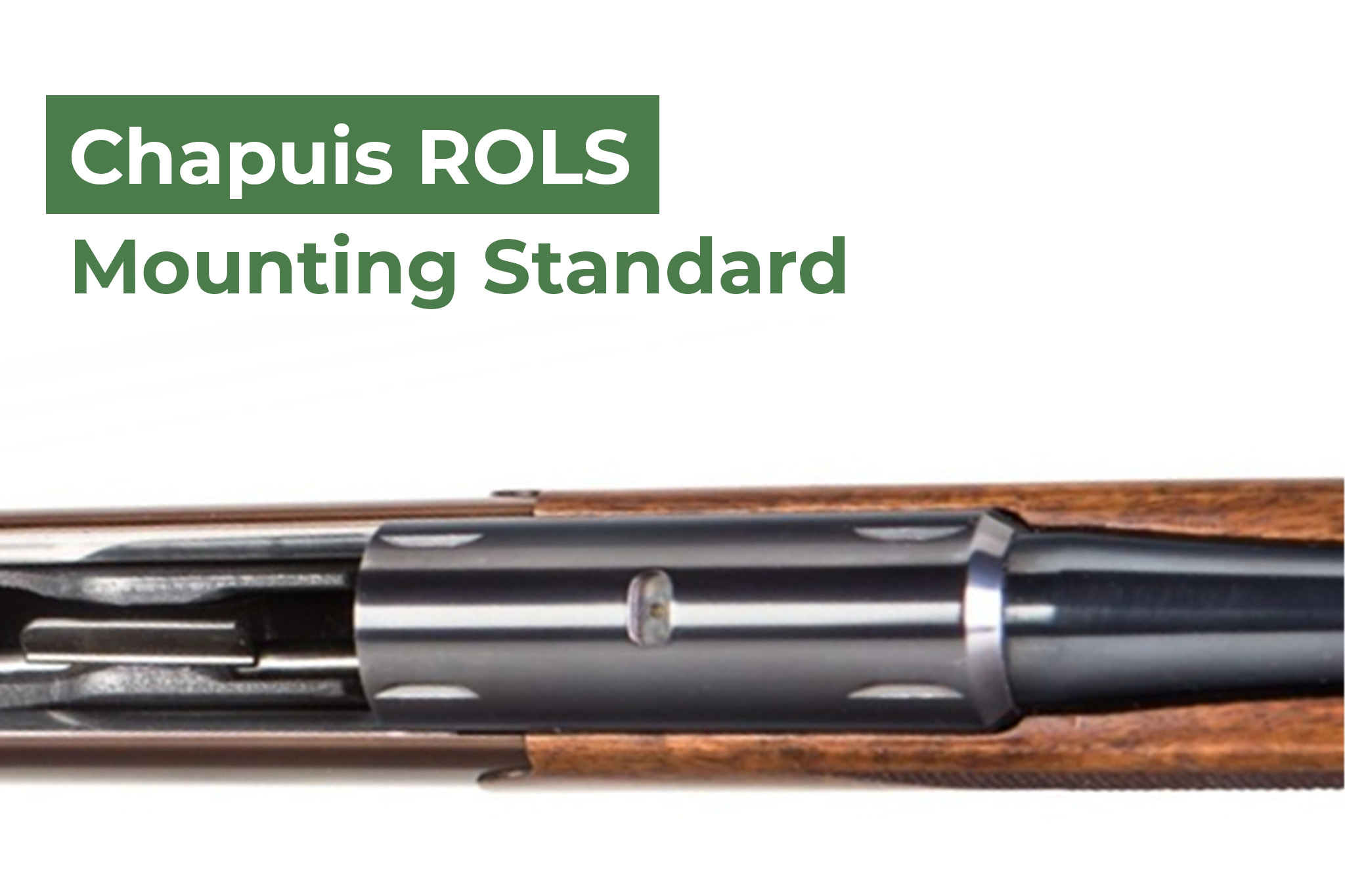 Rifles With Chapuis ROLS Mounting Surface