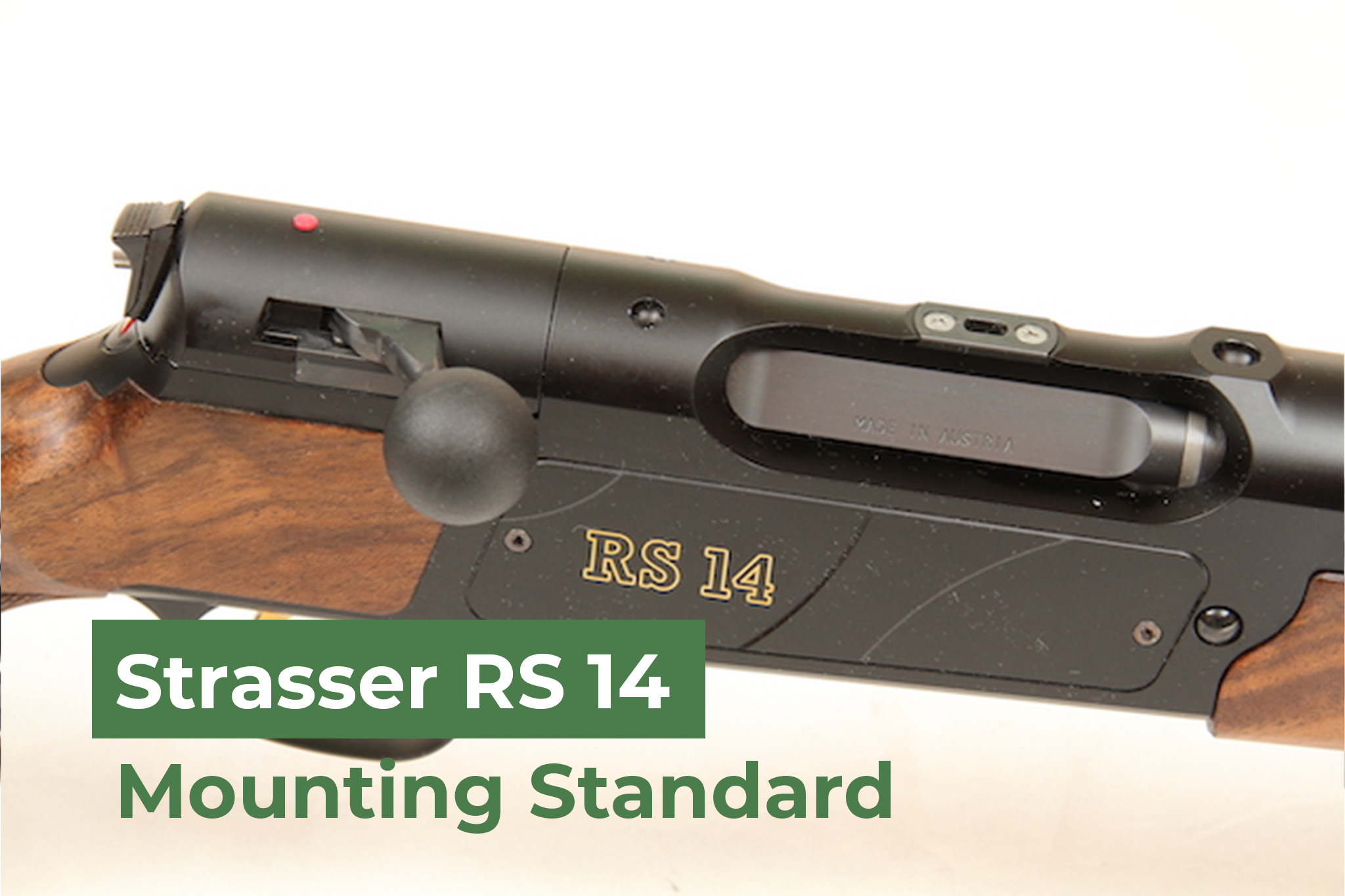 Rifles With Strasser RS 14 Mounting Surface