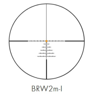 BRW2m-I