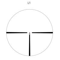 L1